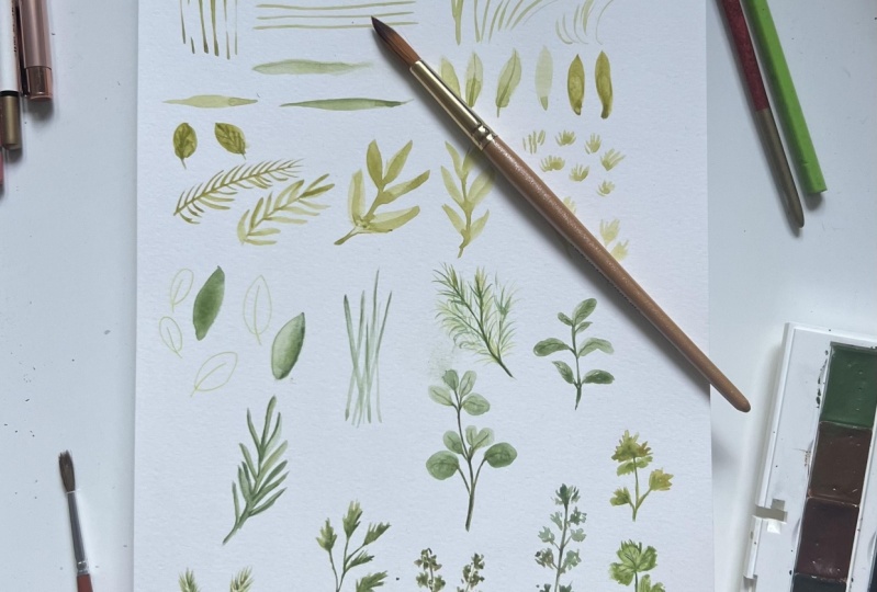 Herbs ~ watercolour practice