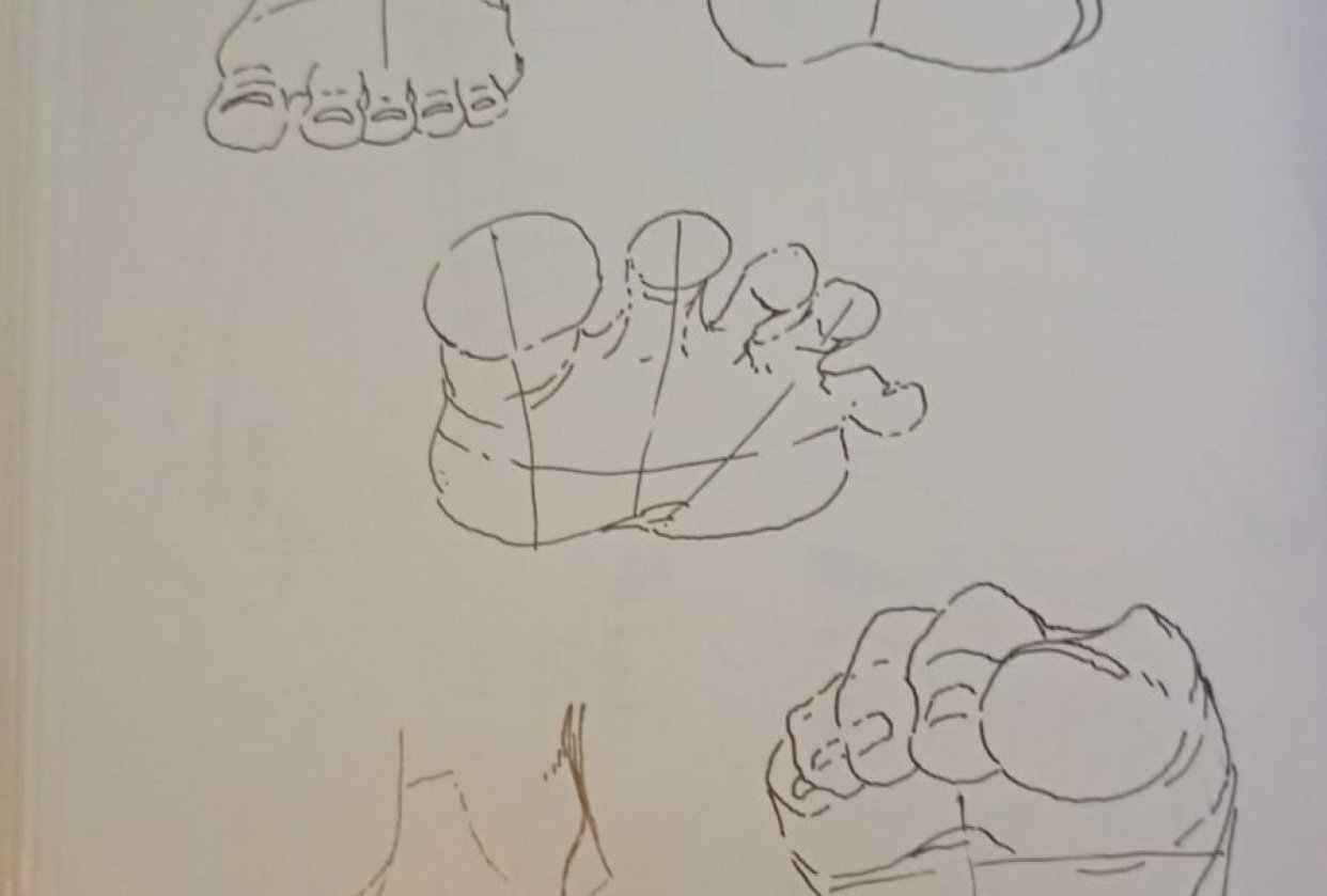 pies - student project