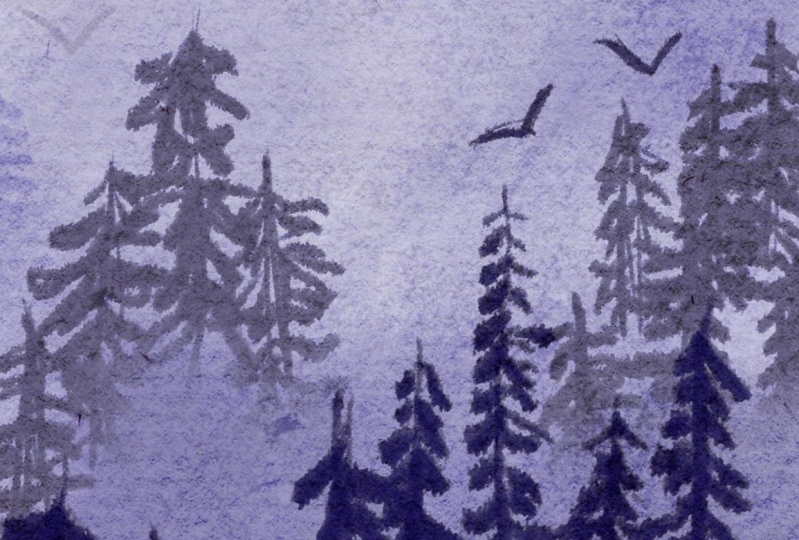 Misty Forest and Night Sky