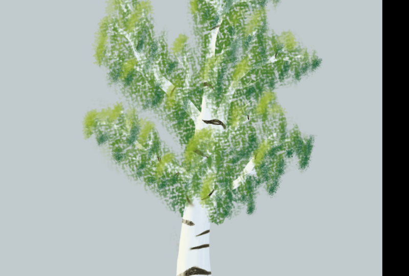 krita exercices