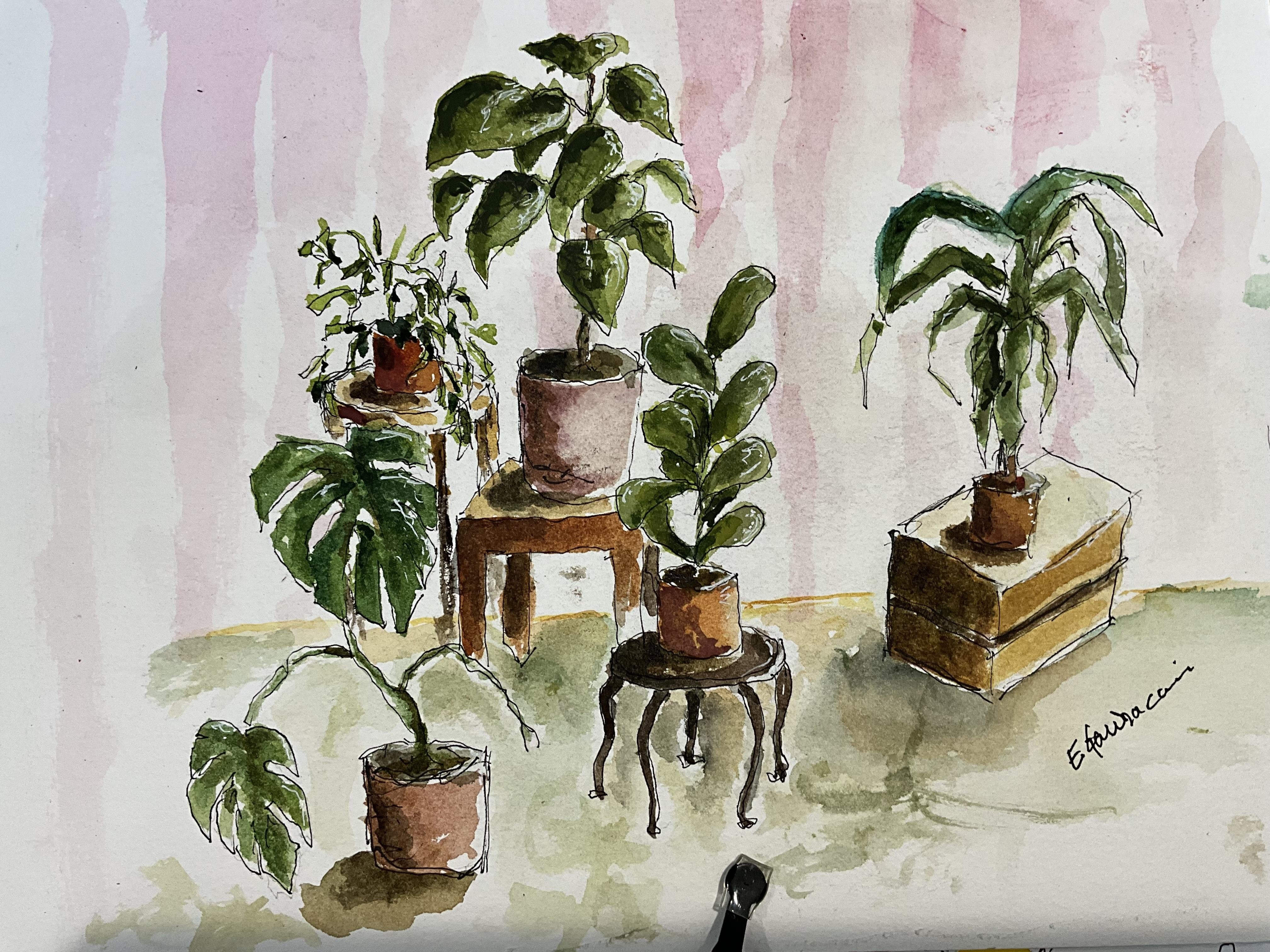 Potted Plants - student project