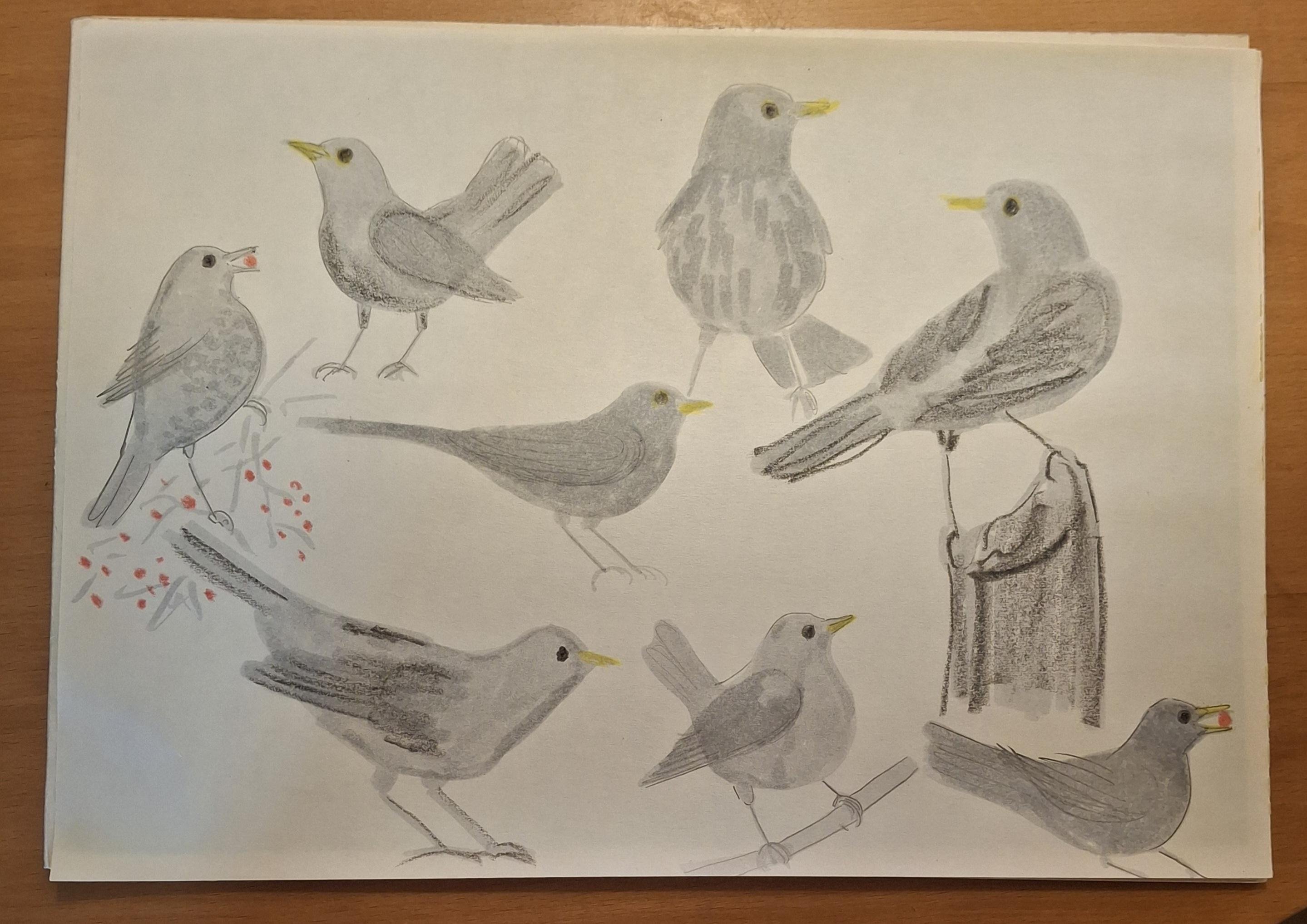 more-projects-from-class-img