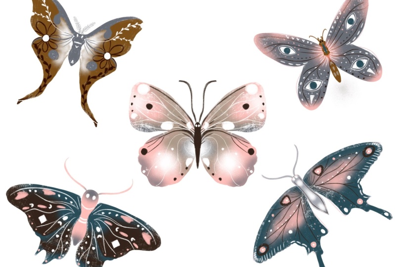 Butterflies galore