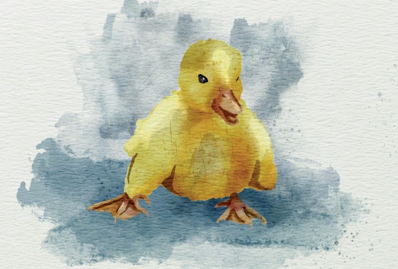 Project painting birds in a different styles