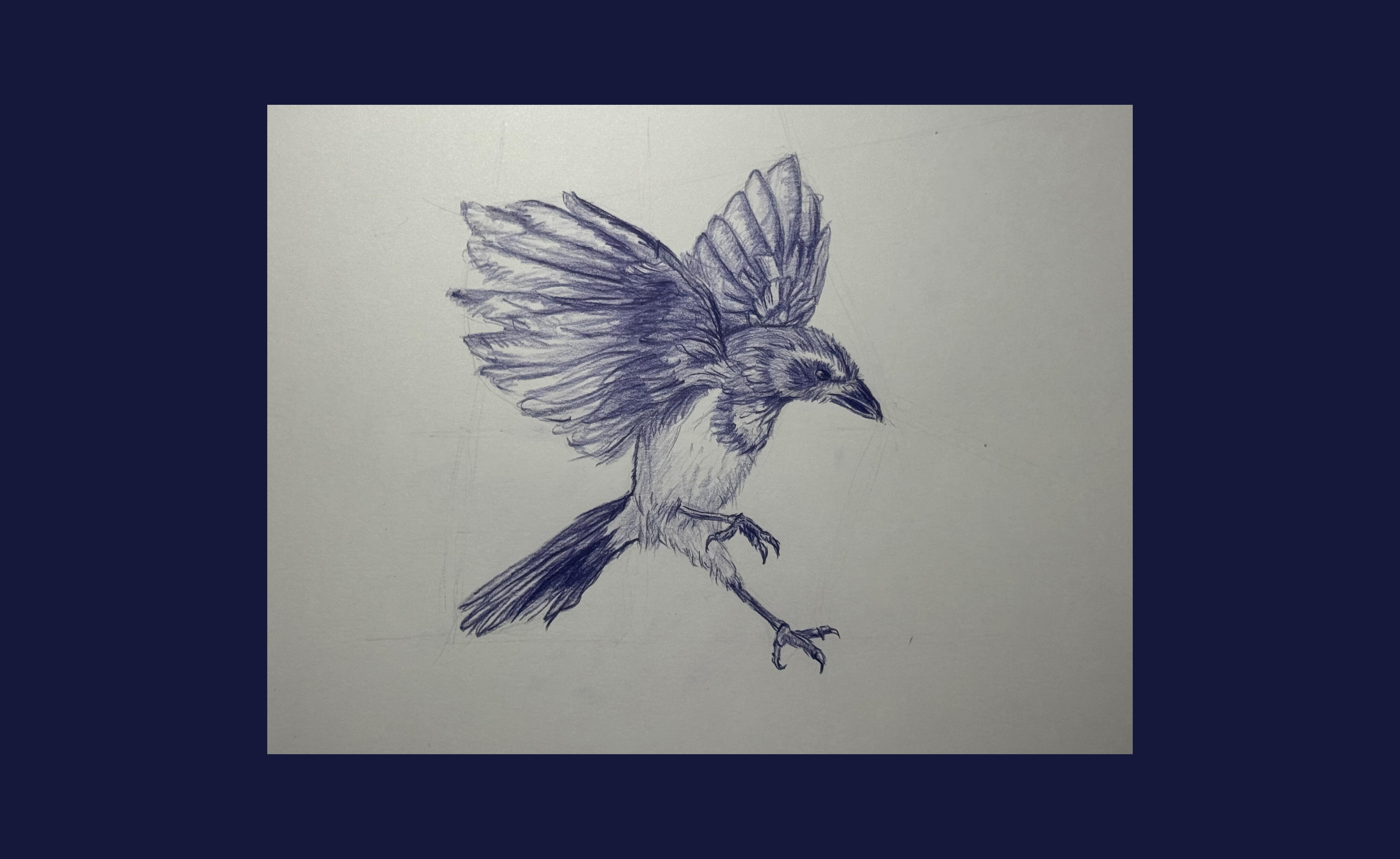 more-projects-from-class-img