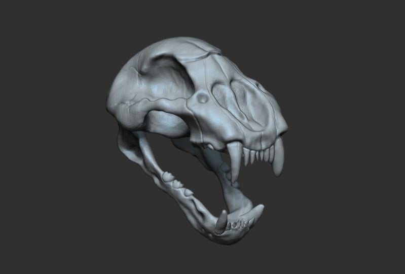 My First ZBrush Project