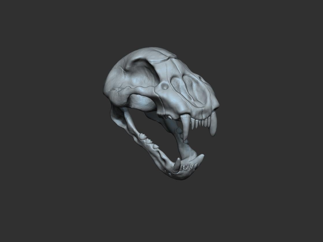 more-projects-from-class-img