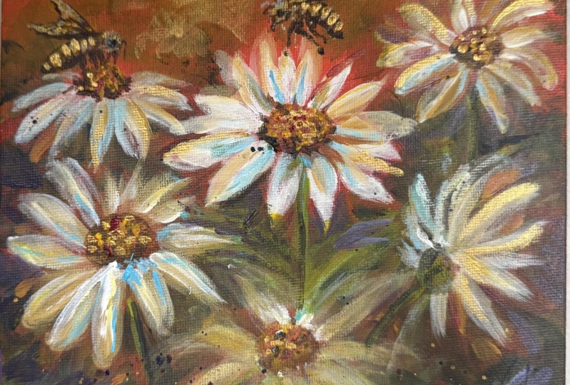 Daisies at sunset