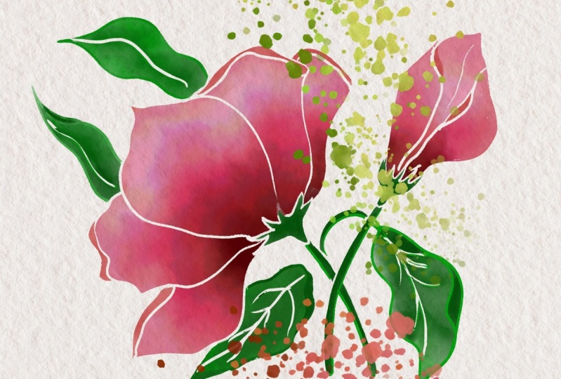 Watercolor practice