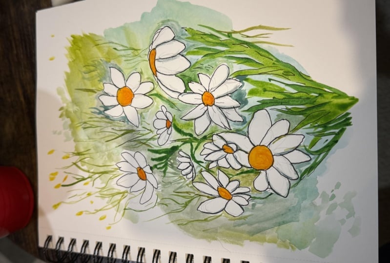 Daisy wildflowers
