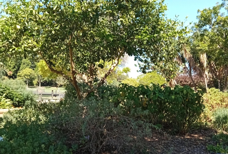 Botanical gardens