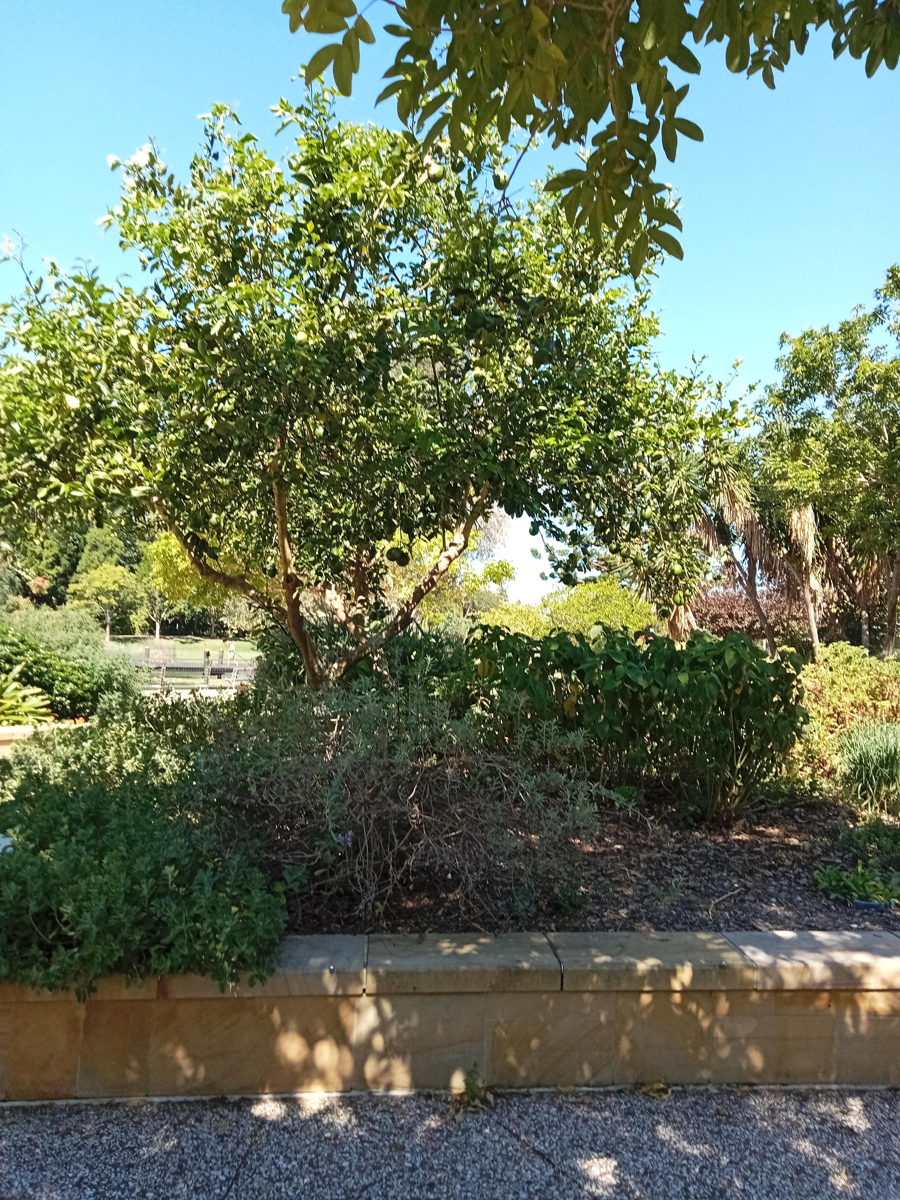 Botanical gardens - student project