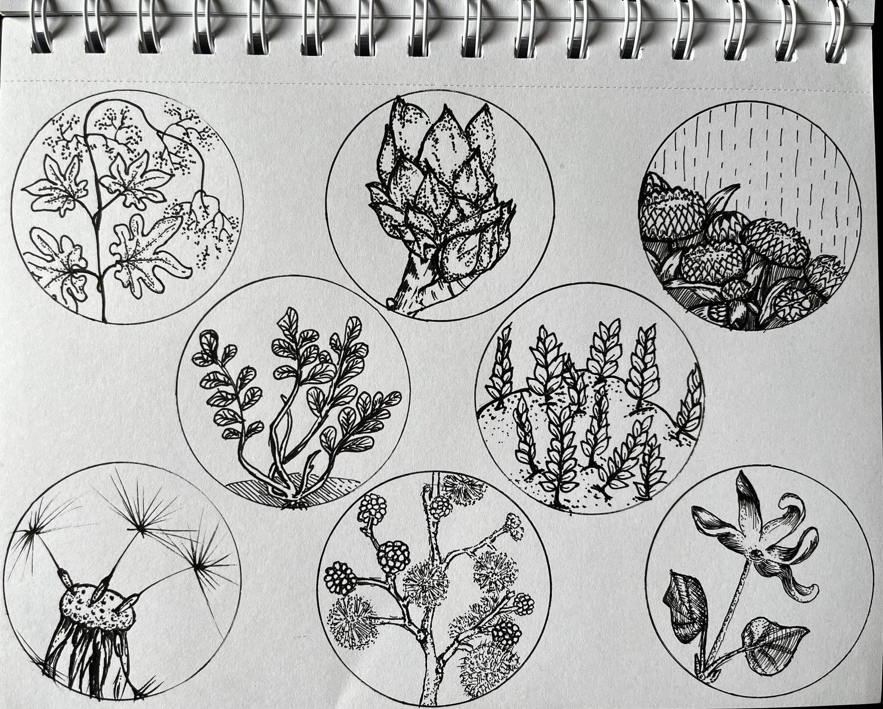 more-projects-from-class-img