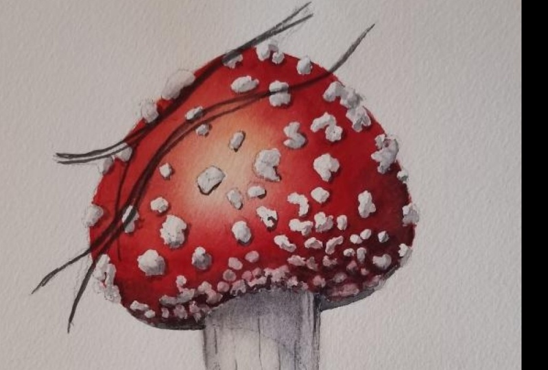 Shroom