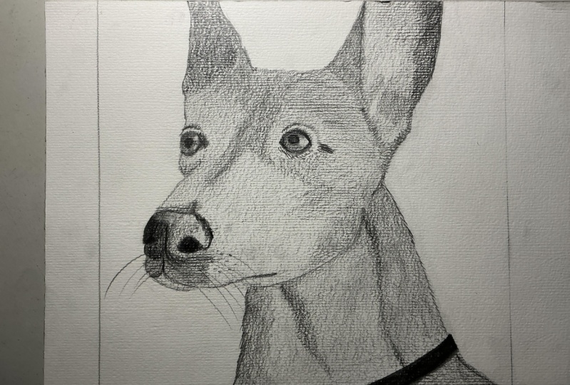 Canela