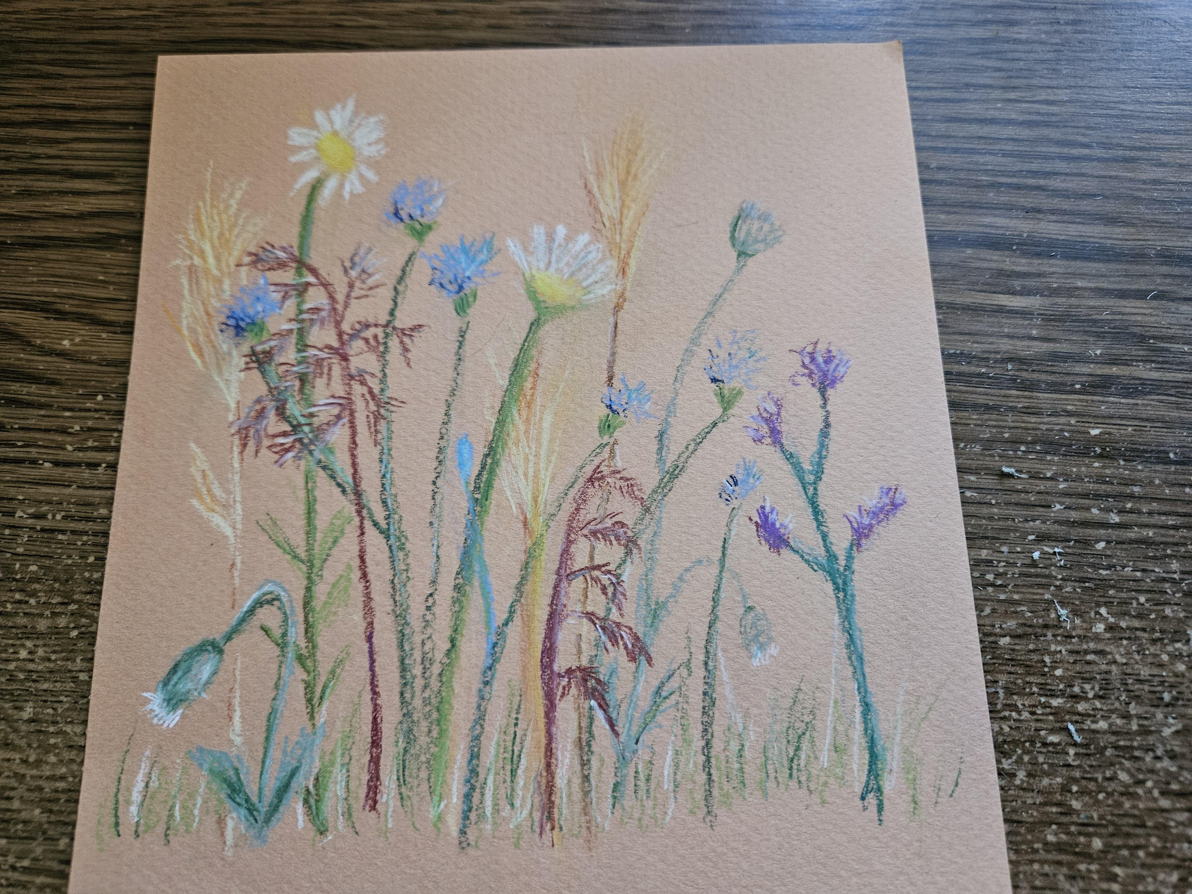 Quick pastel flowers - student project