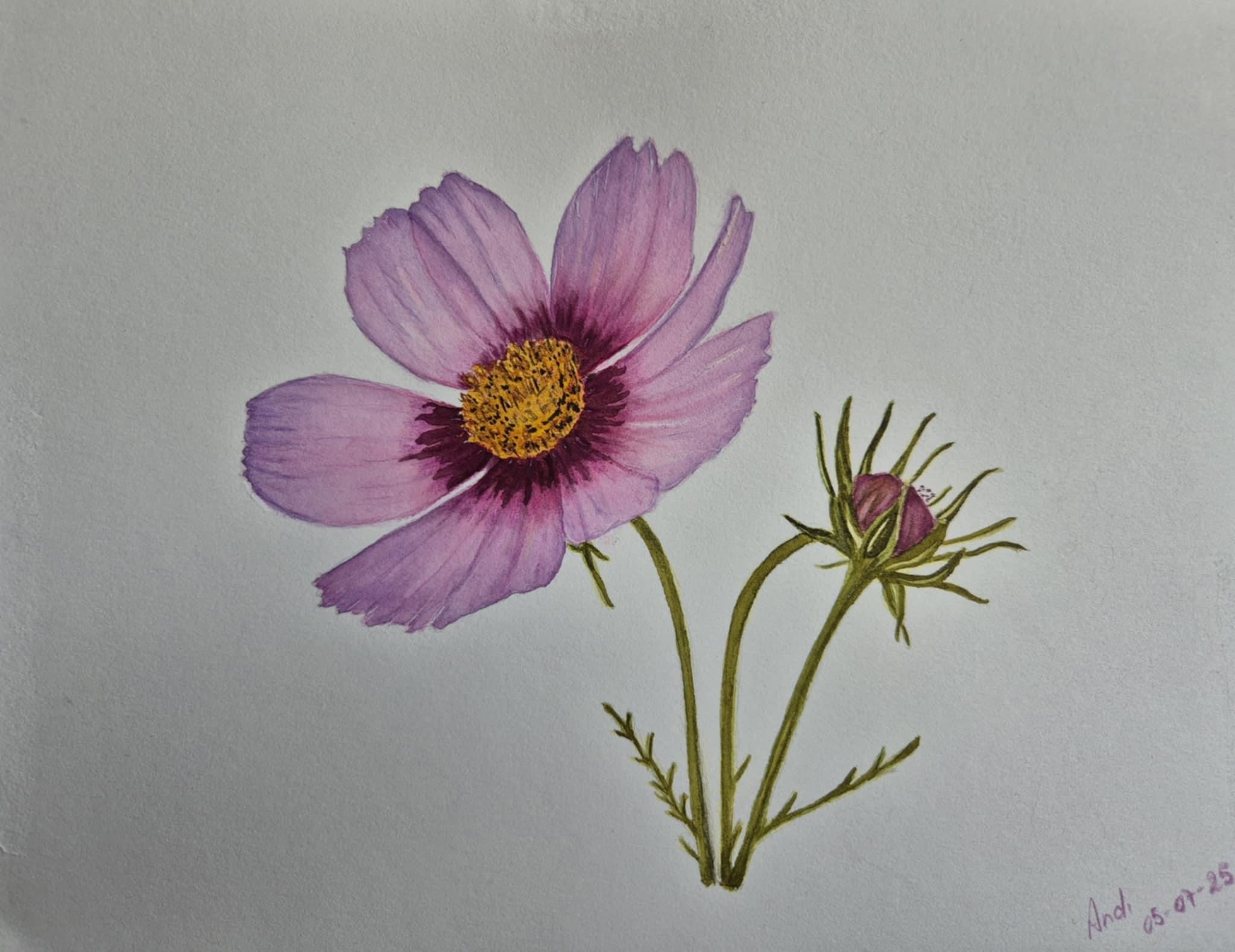Flor de Cosmos - student project