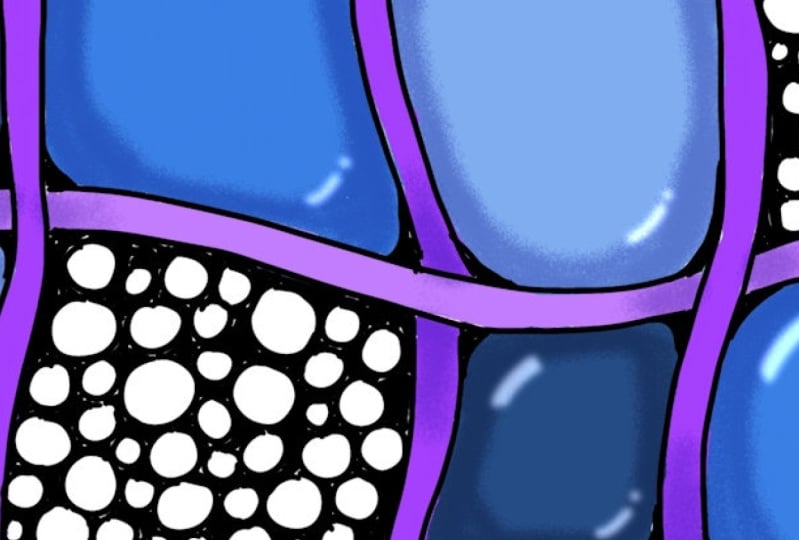 Zendoodles