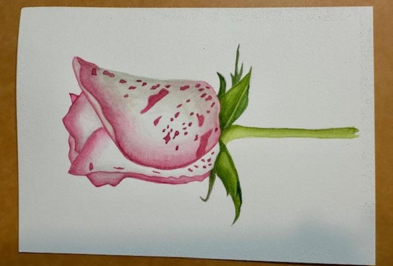 My Spotted Rose