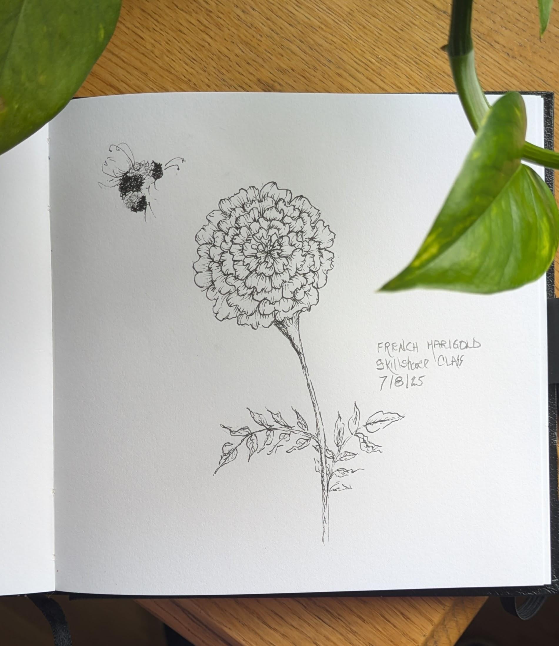 more-projects-from-class-img