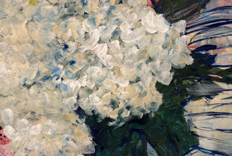 Hydrangeas