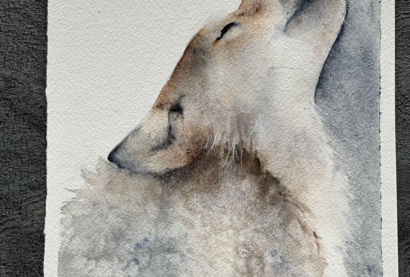 Howling wolf