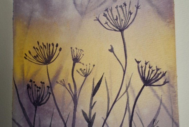 Soft meadows