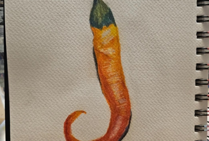 Little Chilli Pepper