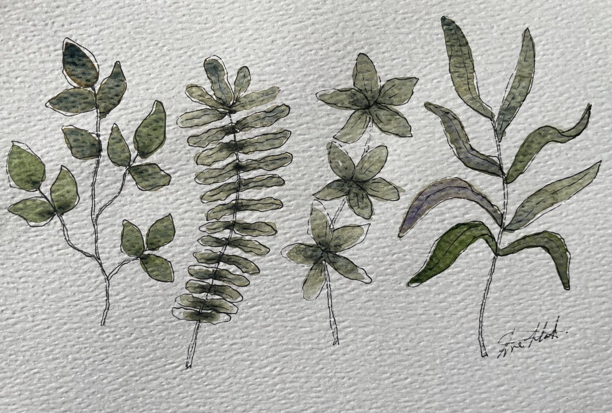 Foliage study - student project