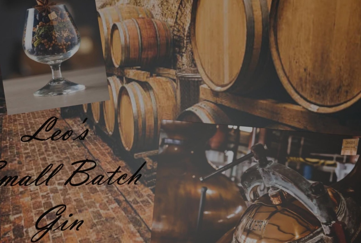 Leo's Gin - student project