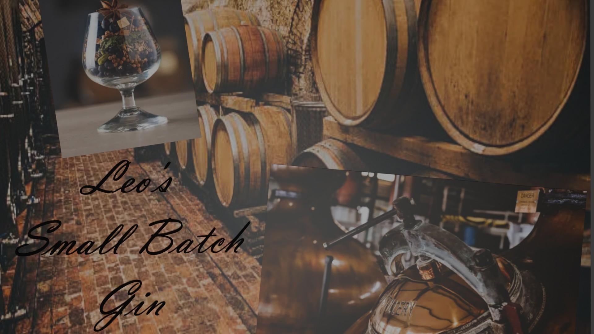 Leo's Gin - student project