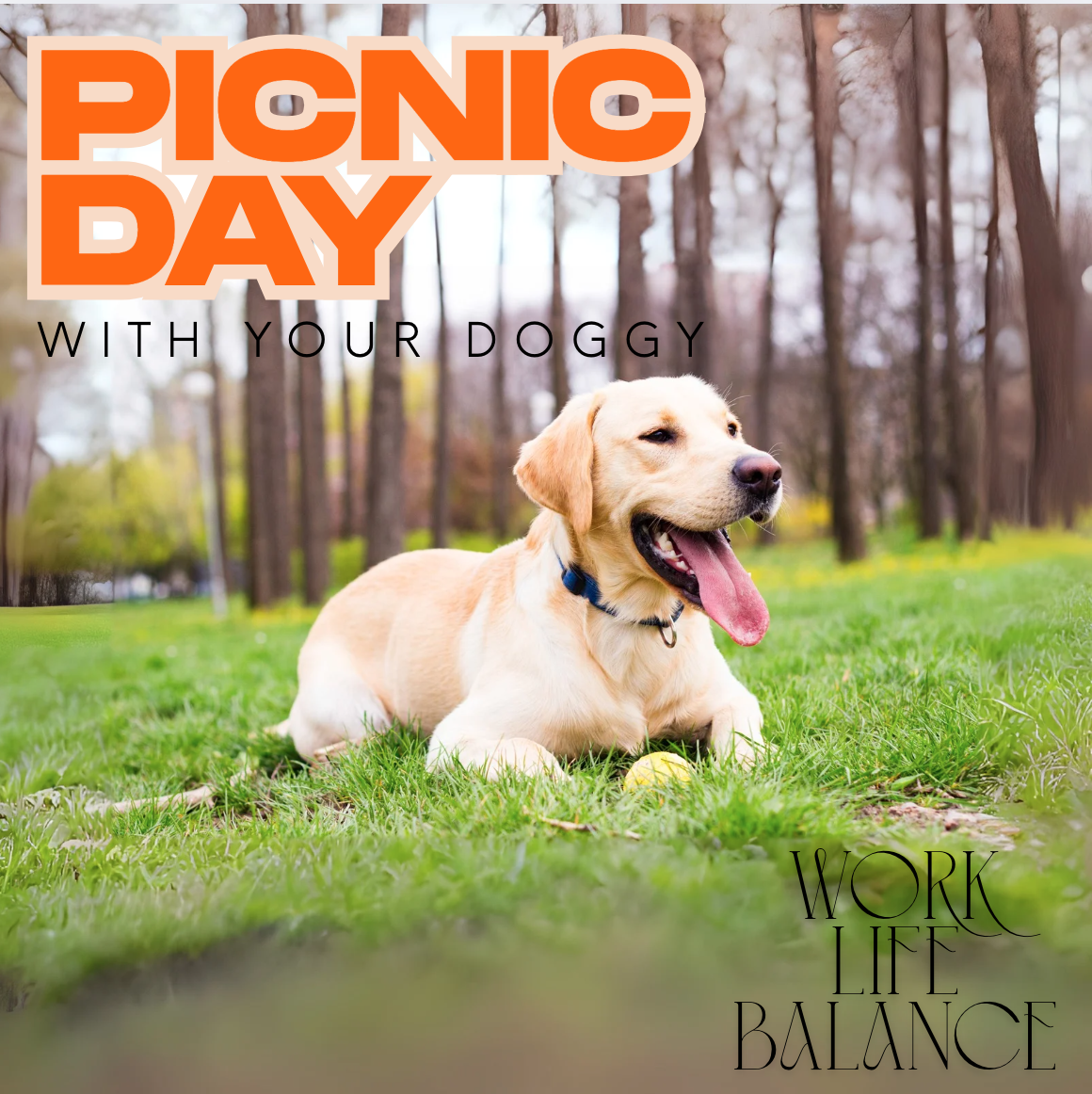 Picnic day with a dog