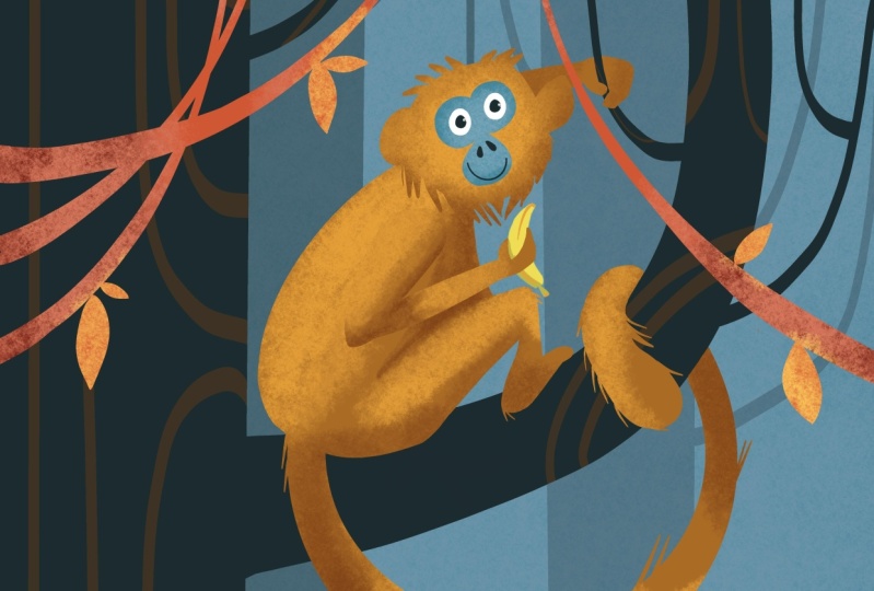 Monkey see, monkey do!