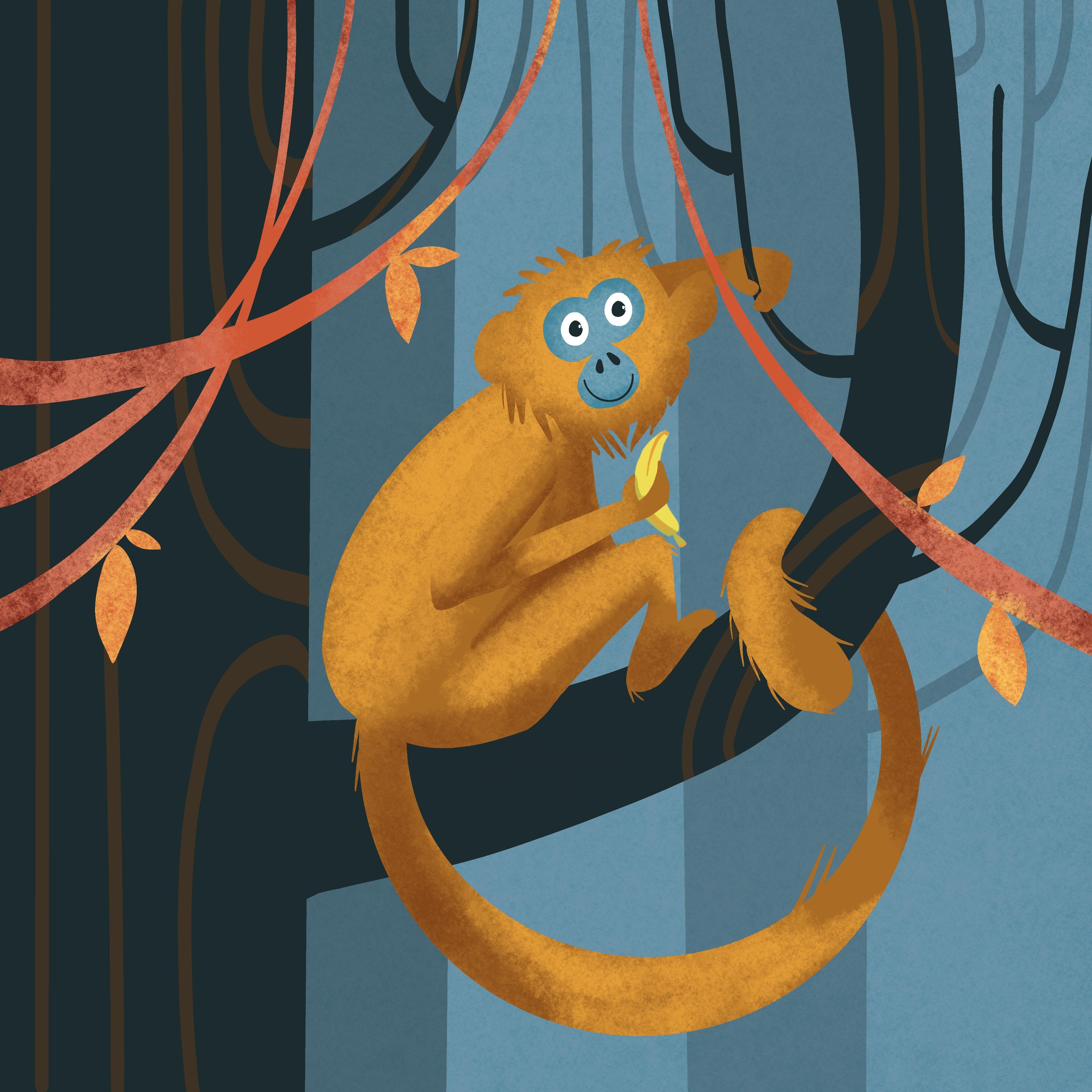 more-projects-from-class-img