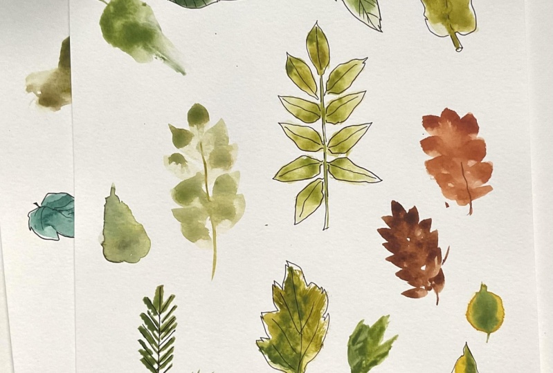 Leaves