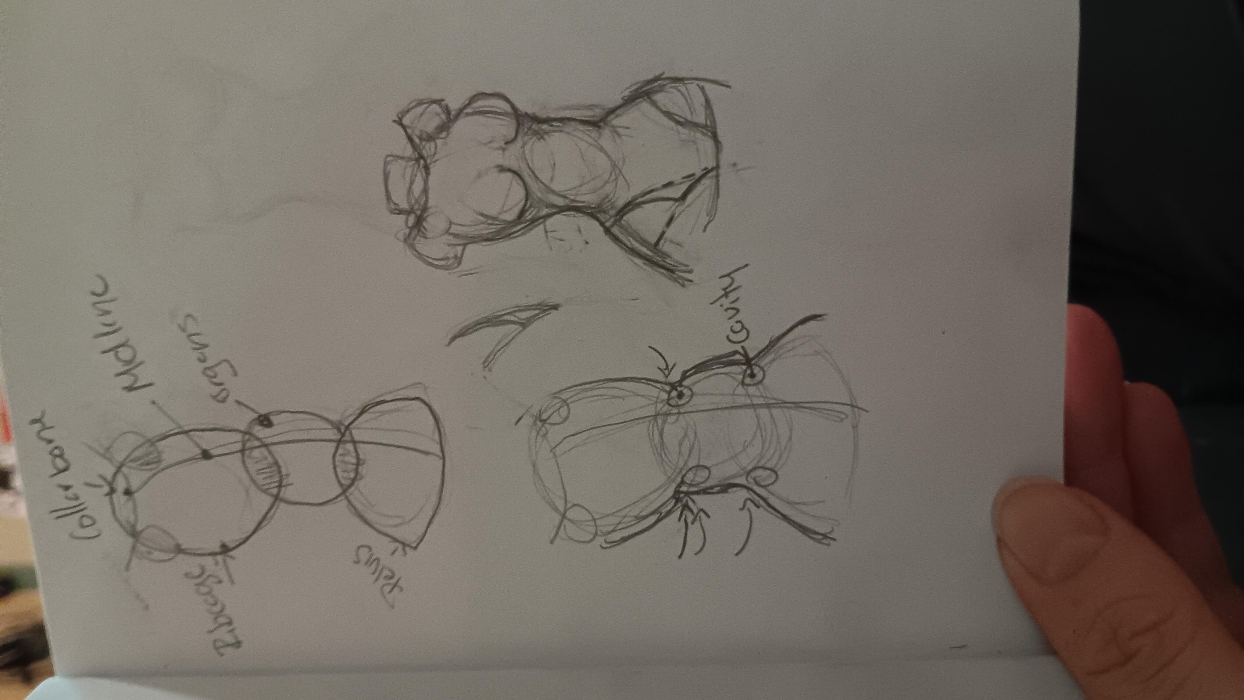 more-projects-from-class-img
