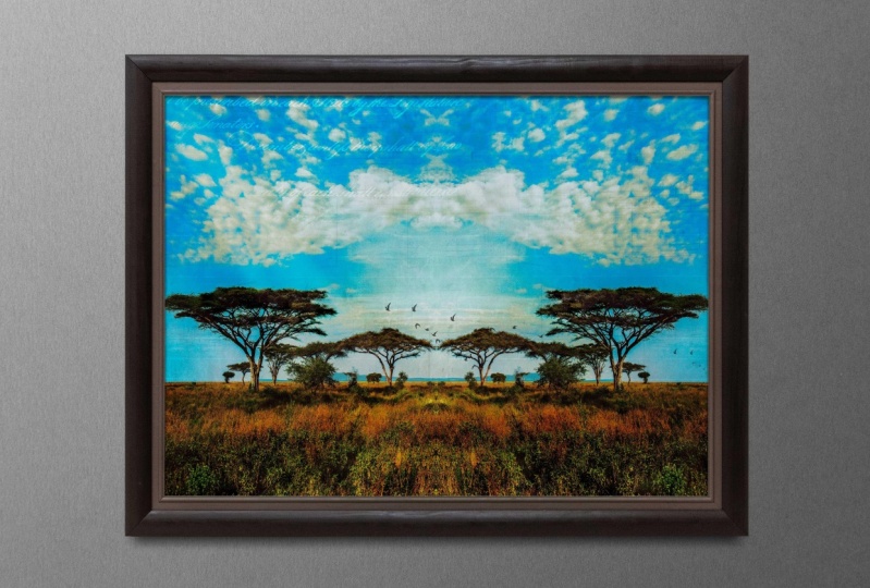 Final Project: African Savanna-Photo Texture Collage