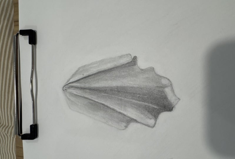 fabric