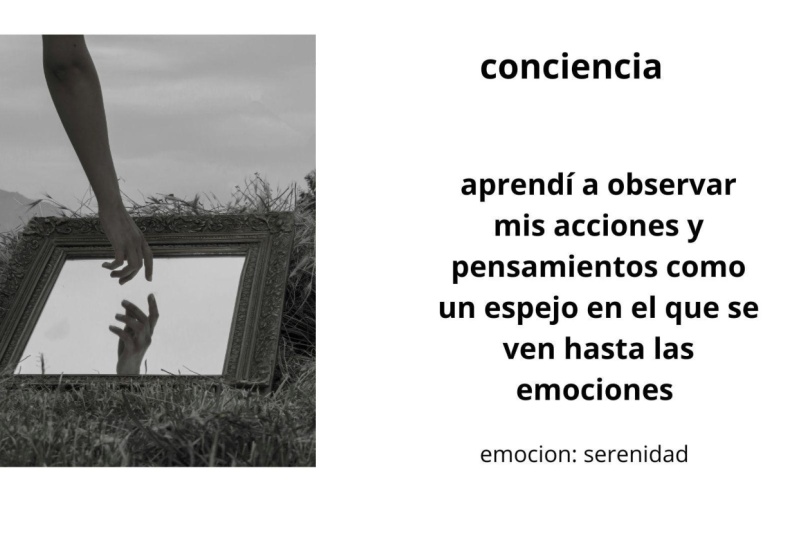 Mi conciencia