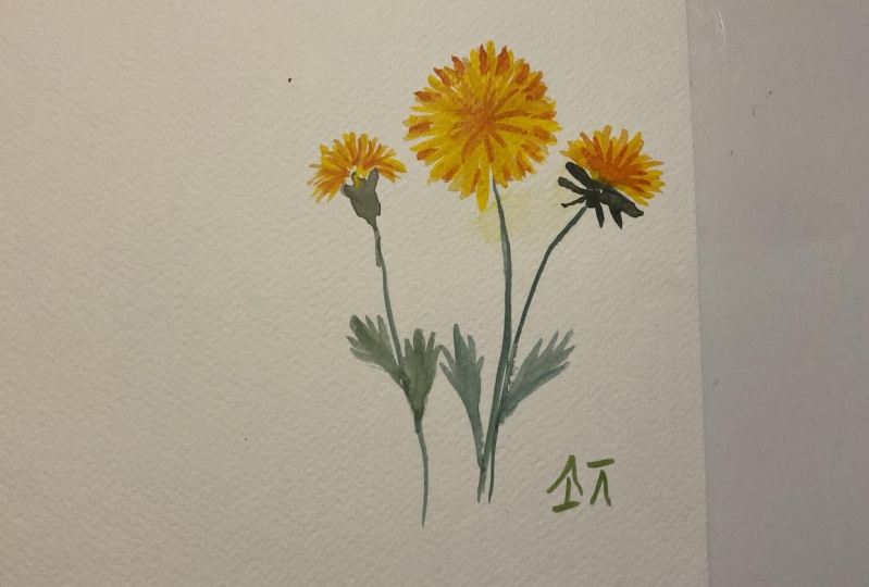 First Attempt