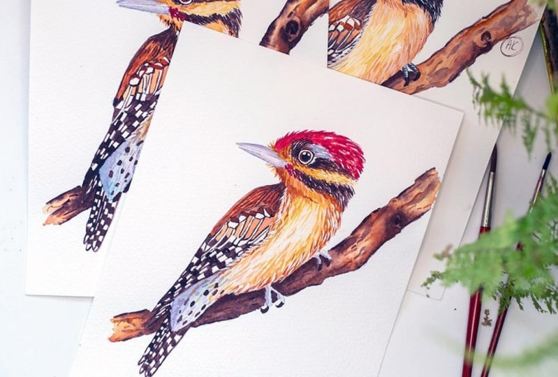 Little woodpecker