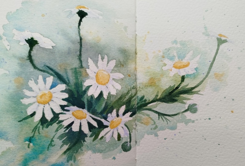 Sketchbook Tour