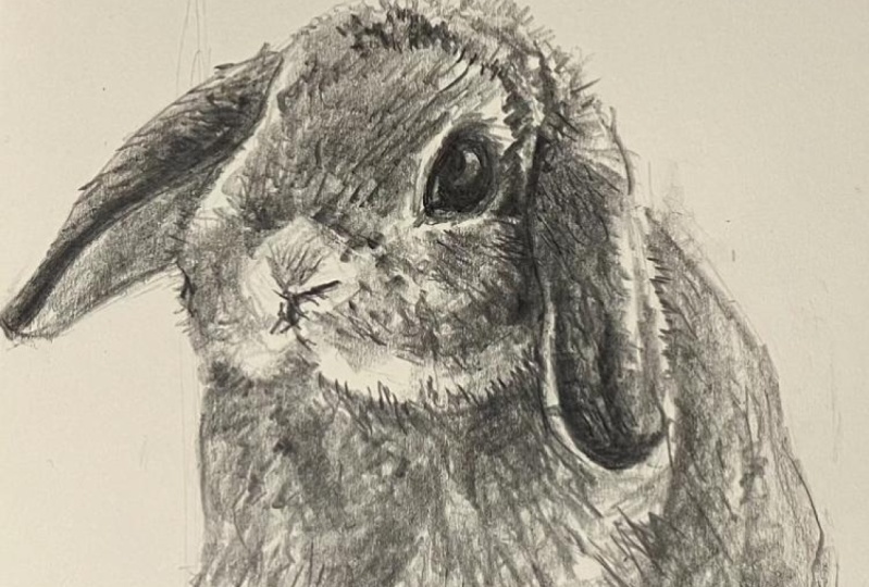 Furry Bun