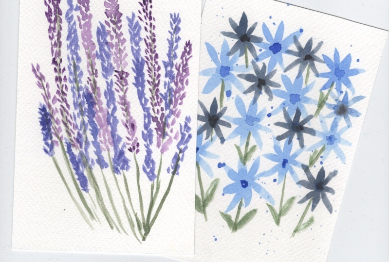 Floral portraits