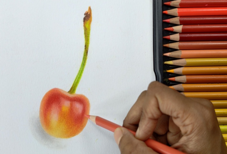 Cherry Drawing
