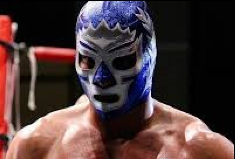 Lucha