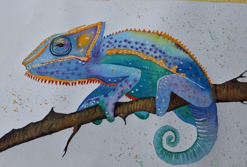 Chameleon