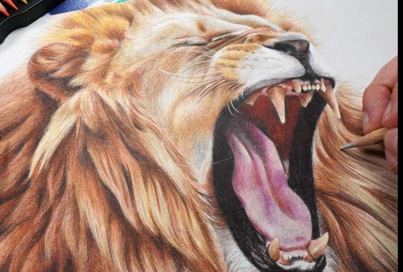 Lion Project