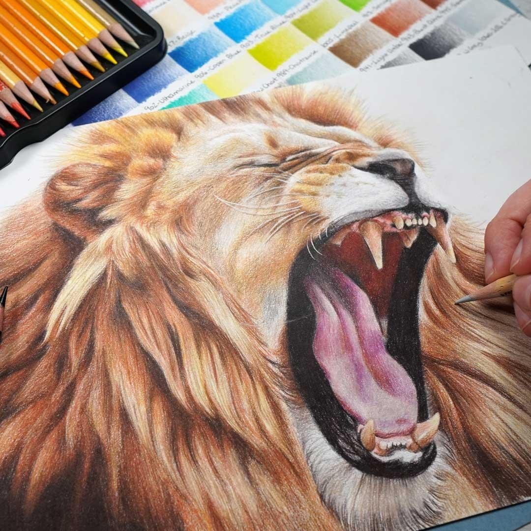 Lion Project - student project