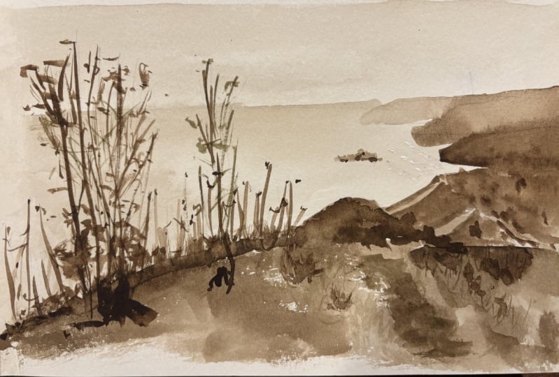 Catalina Island sketch